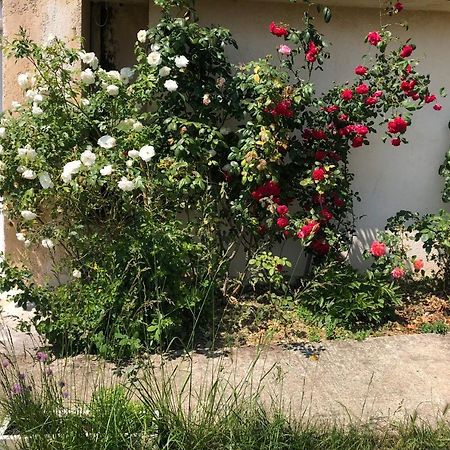 Le Jardin Suspendu Daire Rillieux-la-Pape Dış mekan fotoğraf