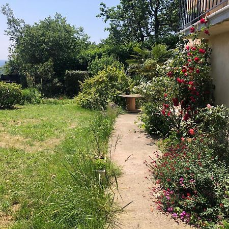 Le Jardin Suspendu Daire Rillieux-la-Pape Dış mekan fotoğraf