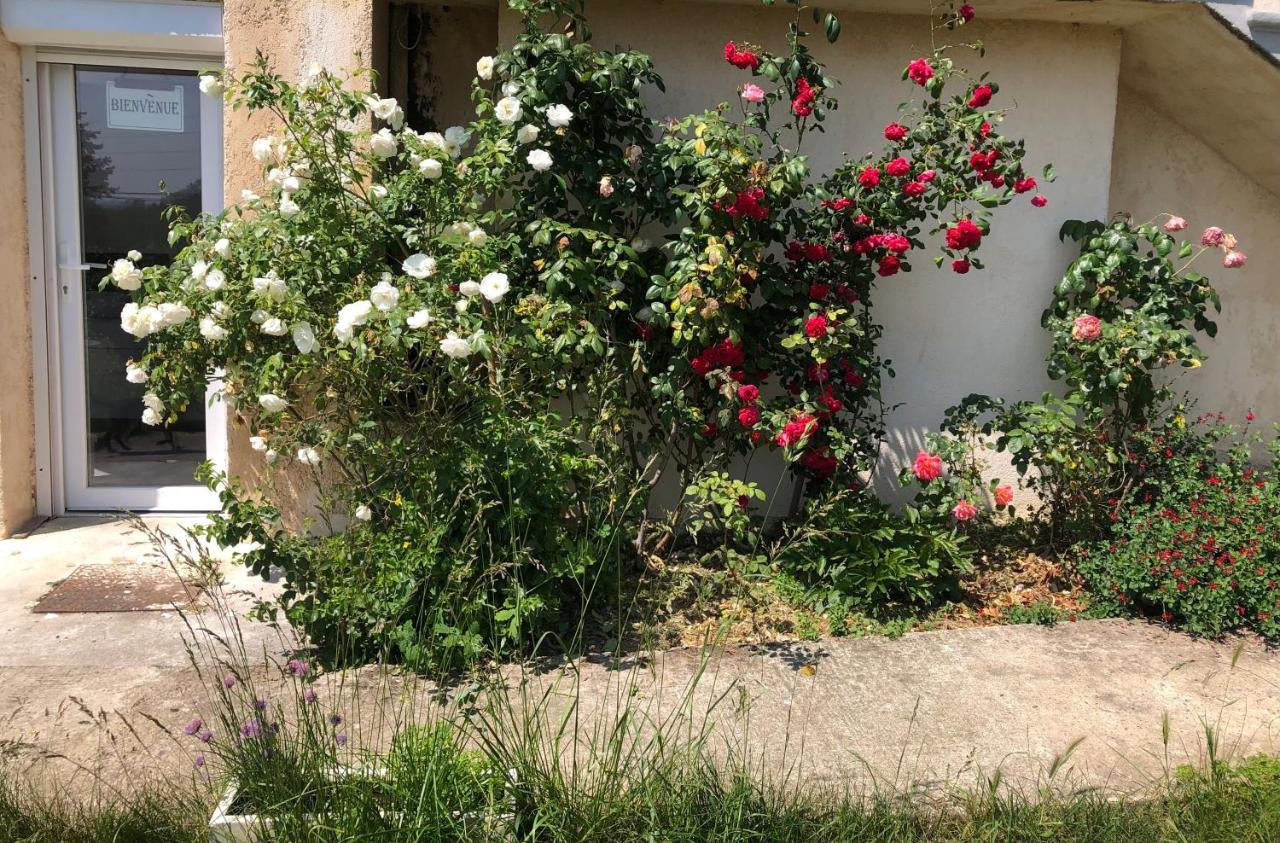 Le Jardin Suspendu Daire Rillieux-la-Pape Dış mekan fotoğraf