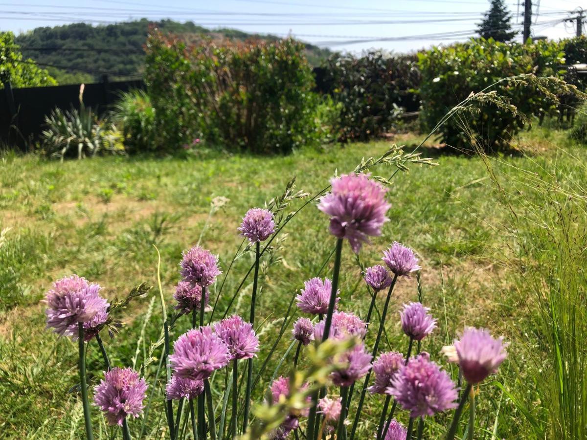 Le Jardin Suspendu Daire Rillieux-la-Pape Dış mekan fotoğraf