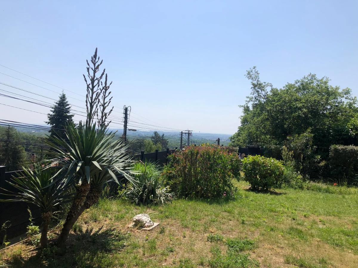 Le Jardin Suspendu Daire Rillieux-la-Pape Dış mekan fotoğraf